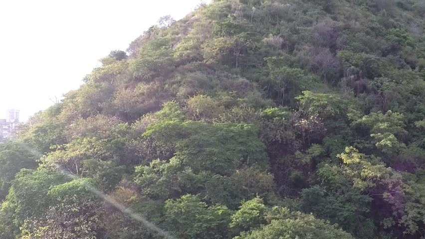 Aerial view of a traffic and mountain.