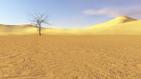 Closeup of sand in a desert and a view on a sandy dunes and dead tree at the final of clip during daytime. Realistic three dimensional animation.