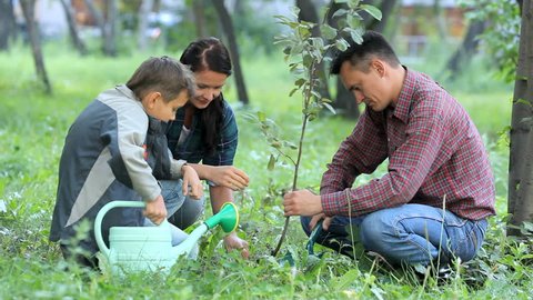 Family of three planting a new tree in park