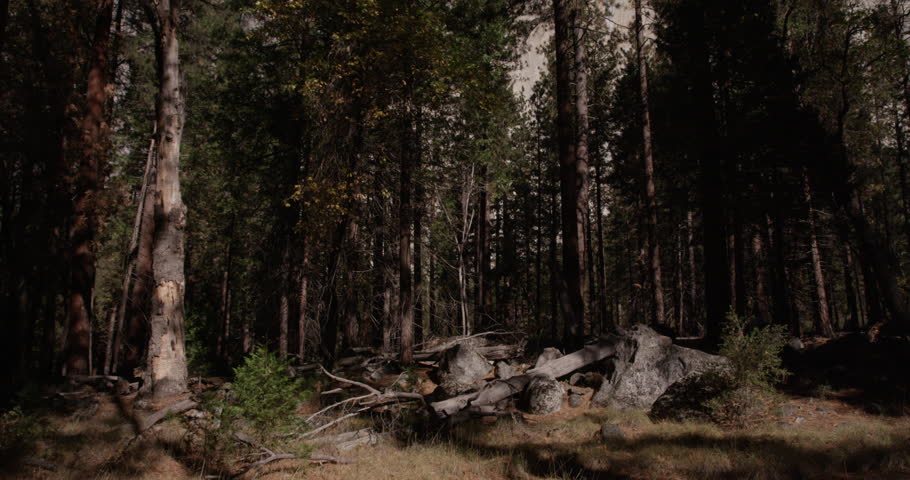 El Capitan in Yosemite National Park, California. 4K footage shot with RED EPIC CAMERA.