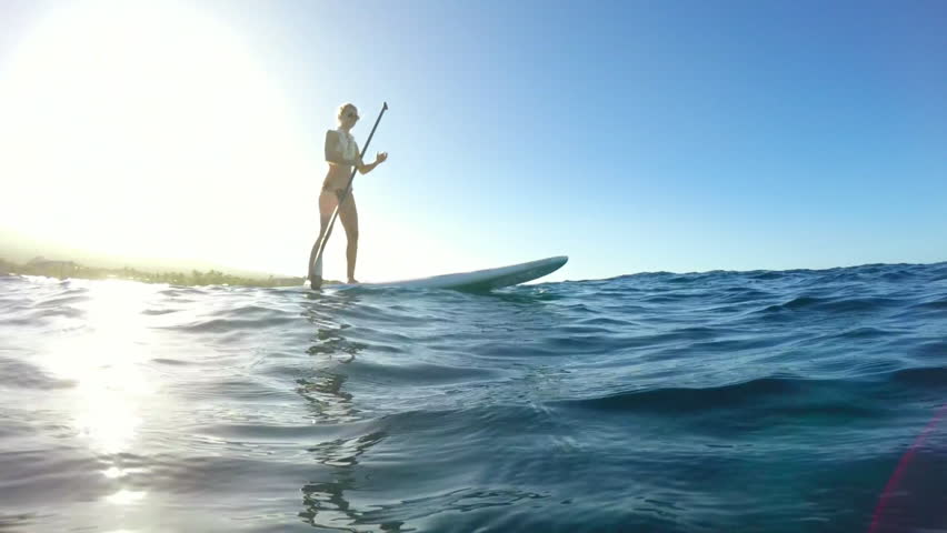 Shutterstock video thumbnail