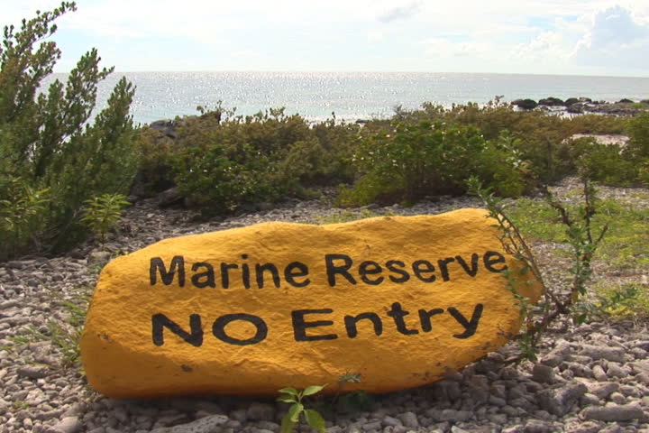 NTSC: Marine reserve on Bonaire, Netherlands Antilles - hand held tilt down