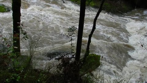 High water flowing down Berry Creek, a major water-shed tributary to the Feather River system in Northern California.