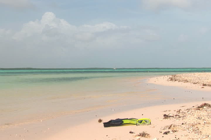 NTSC: Flippers and mask