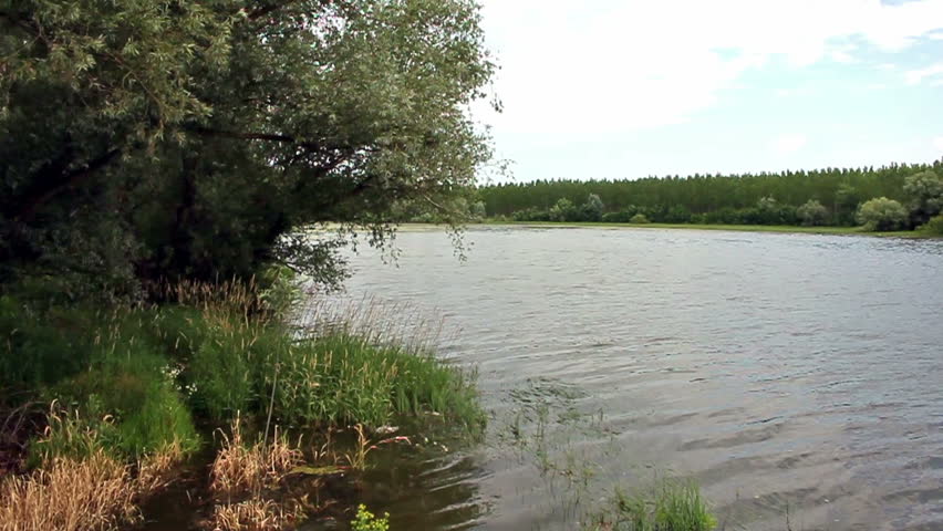 slow moving river through forest serbia Stock Footage Video (100% ...