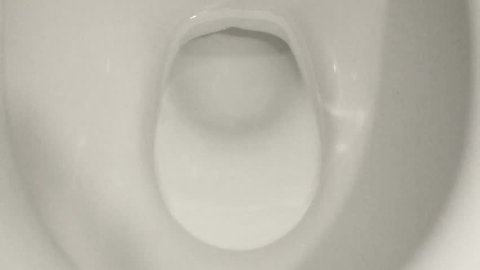 Würmer in der toilette
