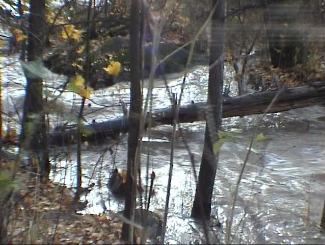 Small river waterfall