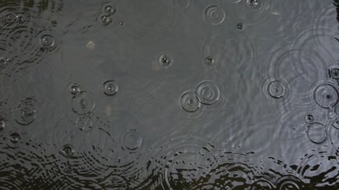raindrop on water surface on pool