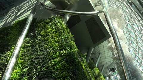 SEOUL, - NOVEMBER 01:
Lush green wall in the Seoul City Hall (Guinness World Record as the largest vertical garden).
November 01, 2015 in Seoul, South Korea