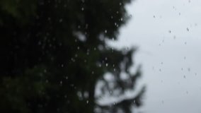 rain in mountains, drops and mountains on tree background video footage