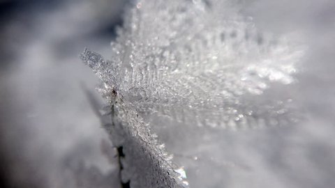 Slowly panning macro close-up of ice formations on a blade of grass, shot in 4k