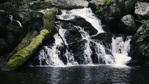 Waterfall in Lamington National Park in Queensland, Australia.