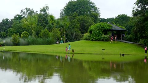 Penang / Malaysia - CIRCA Dec 2015 : Landscape with green tree and lake in the park