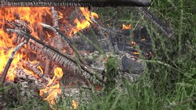 close up of tree branches burn smolder char in orange flame fire on grass. 4K UHD video clip.