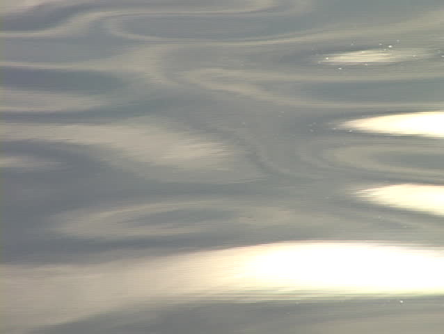 Water ripples in a lake.