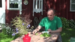 young happy man hulled green peas pod and eat peas. Old home and flower background in summertime. 4K UHD video clip.