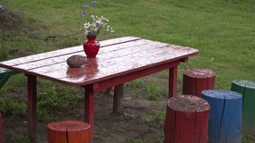 summer rain drop on red painted wooden table and colored stump in village green yard. 4K UHD video clip.
