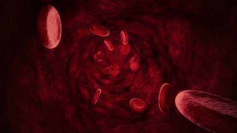 Realistic 3D blood cells in a blood vein (seamless loop)