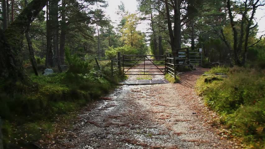 A beautiful, green Scottish hiking trail is obstructed by a cattle guard.