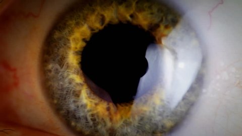 Extreme close up human eye iris
