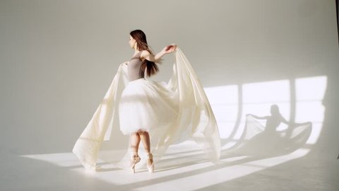 silhouette of ballerina in classical tutu in the white studio.