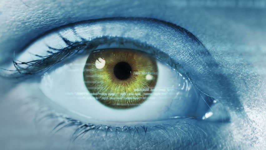 Female eye with program code. Futuristic. Technology. Brown and green. Eye close-up with computer data appearing. 2 colors in 1 file. | Shutterstock HD Video #13807241