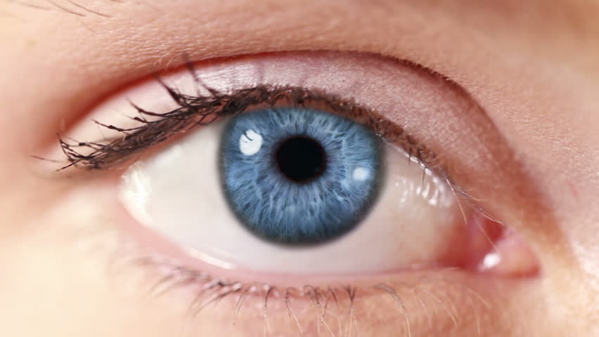 Human Eye. Blue and green. Blue and regular skin. 2 in 1. Close-up of a colored eye blinking. Each video is loopable. | Shutterstock HD Video #13807586