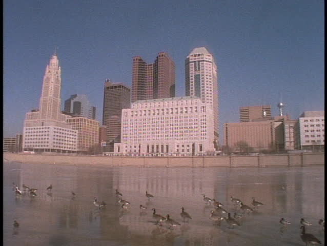Canadian geese walk across a frozen river in Columbus, Ohio.