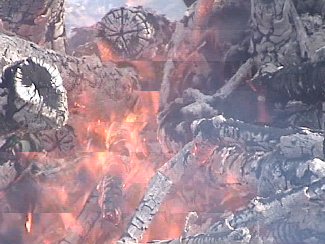 Closeup of flames and old wood burning during a woods fire.