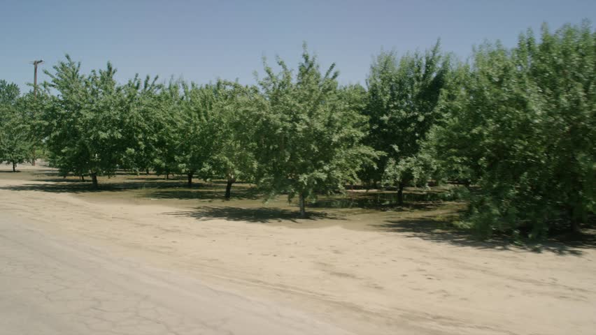 Farmland: Stanislaus County, CA USA Set 6 - Driving Plate Left Rear three quarters View angle: Car slowly travels W on country road on a clear day with no traffic. Shot on RED Dragon.