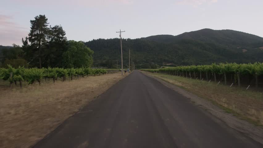 Country Roads: Sonoma County, CA USA Set 7 - Driving Plate Rear View: Car travels E through small winery road, turns S onto CA-29 on a clear day (dusk) in light traffic. Shot on RED Dragon.