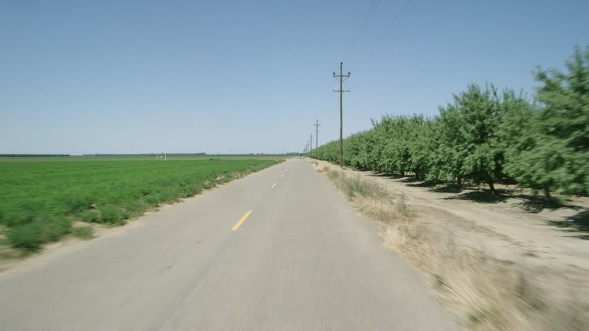 Farmland: Stanislaus County, CA USA Set 3 - Driving Plate Direct Front angle: Car travels W on country road, comes to a stop on a clear day with no traffic. Shot on RED Dragon.