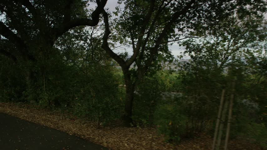 Country Roads: Sonoma County, CA USA Set 5 - Driving Plate Right Front three quarters View angle: Car travels E through small winery road on a clear day with no traffic. Shot on RED Dragon.