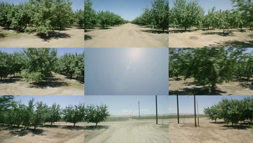 Farmland: Stanislaus County, CA USA Set 8 - Hero Composite: Car slowly travels W on dirt road on a clear day with no traffic. Shot on RED Dragon.