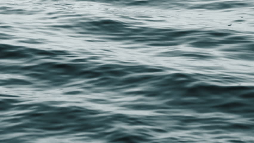 Water surface with small waves moving in the direction of the wind | Shutterstock HD Video #13842608