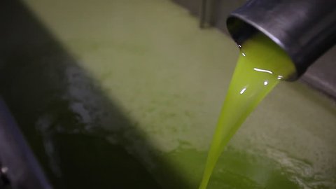 Olives to the mill/Oil extra virgin production