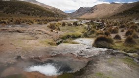Boiling water of fumarole and walking llamas. Sound of water and wind. Land of Altiplano, Bolivia, South America