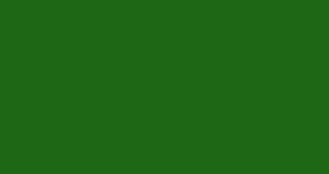Polygon footage 4k dark green
