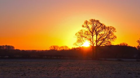morning sunrise over winter countryside landscape
