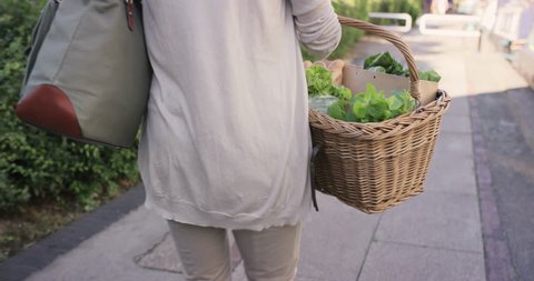 Beautiful woman shopping basket healthy fresh vegetables walking in city lifestyle