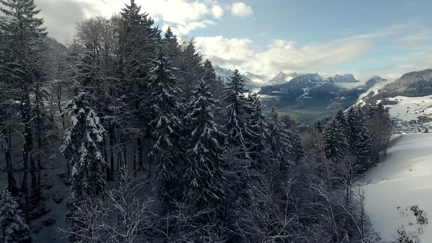 Aerial view of the snow covered Swiss Mountains. Aerial of flying over a beautiful forest in a rural landscape Royalty-Free Stock Footage #13909463
