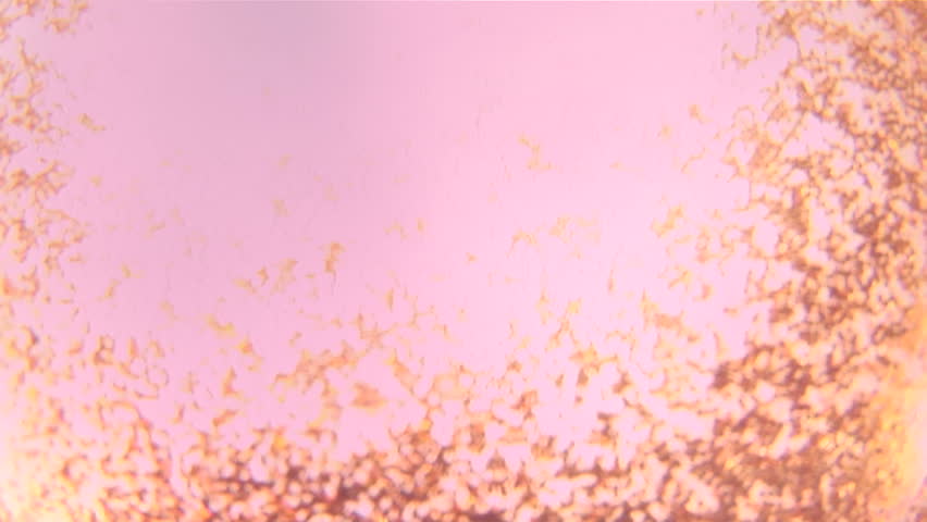 Gold and Pink Background in Stock Footage Video (100