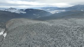 flying over the forest in the winter in the mountains 01