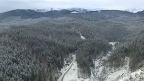 flying over the forest in the winter in the mountains 05