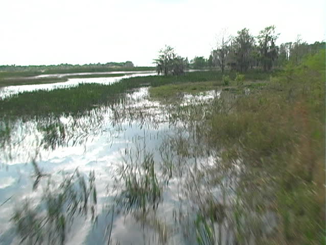 West Lake Tohopekaliga ("Lake Toho") in Kissimmee, Florida, the northernmost part of the Florida everglades .