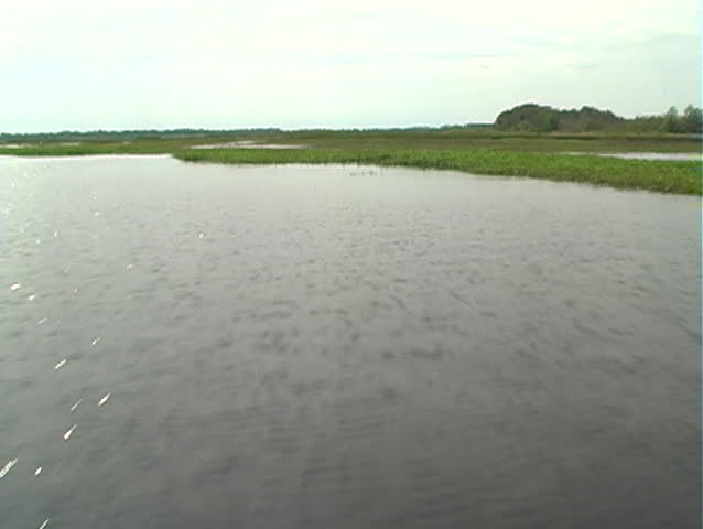 West Lake Tohopekaliga ("Lake Toho") in Kissimmee, Florida, the northernmost part of the Florida everglades .