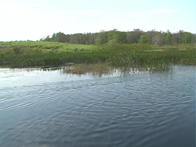 AWest Lake Tohopekaliga ("Lake Toho") in Kissimmee, Florida, the northernmost part of the Florida everglades .