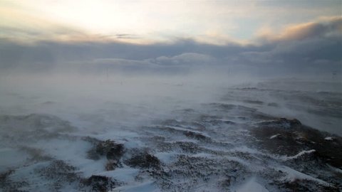 Arctic wasteland hurricane gale force winds blowing snow over tundra moss Iceland