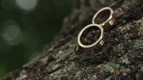 Wedding rings in a green tree 