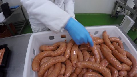 Raw Sausages in Meat Processing Factory. Meat industry.
Workers hands putting raw sausages in trays preparing them for packaging.